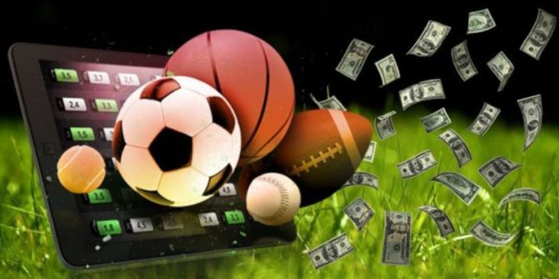 Một vài bộ môn thể thao I9bet phổ biến  